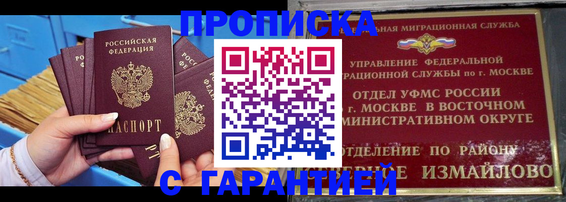 прописка поиск в Кингисеппе